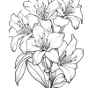 Relaxing Landscapes Coloring Book For Adults And Seniors With Flower Patterns - Image 4