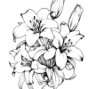Relaxing Landscapes Coloring Book For Adults And Seniors With Flower Patterns - Image 5